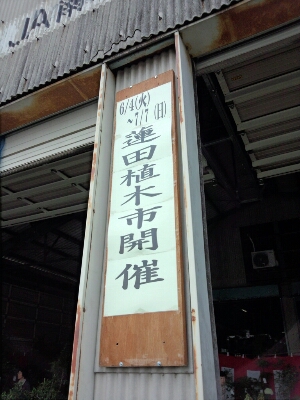 f0219994_1422966.jpg