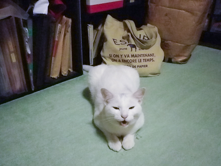 f0239100_2153124.jpg