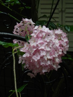 c0152002_18174953.jpg