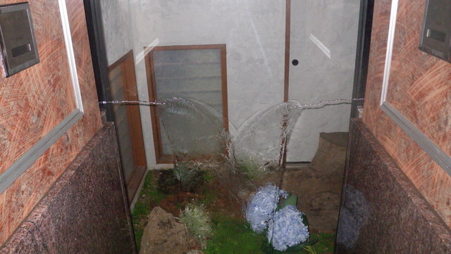 a0116205_20232534.jpg