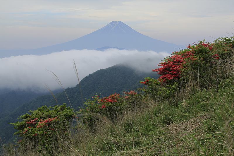 a0188405_810477.jpg