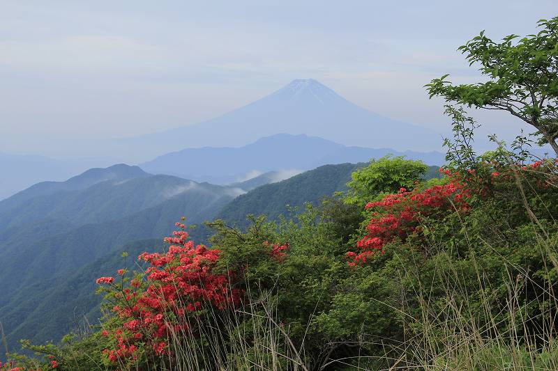 a0188405_881959.jpg