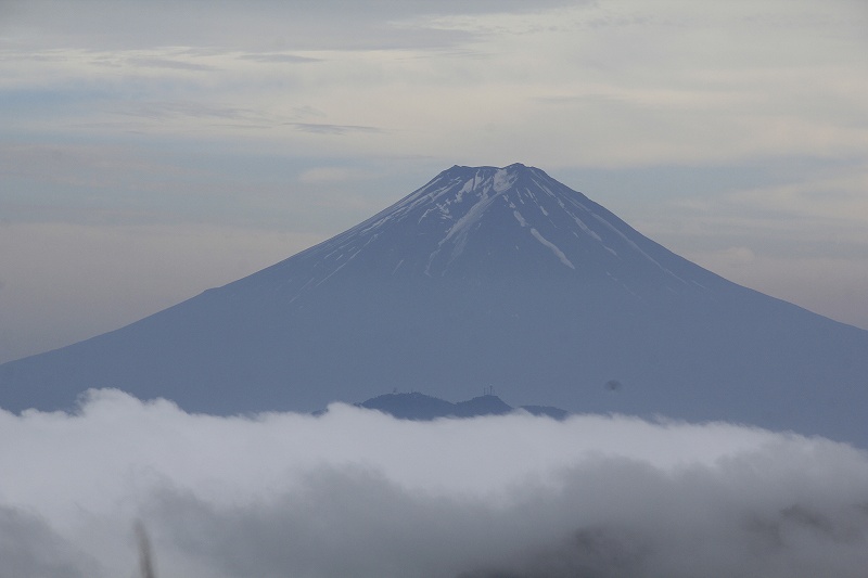 a0188405_89465.jpg