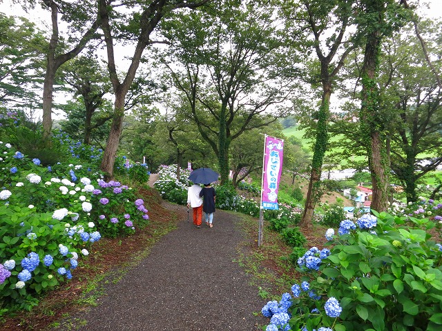 e0121110_2119537.jpg