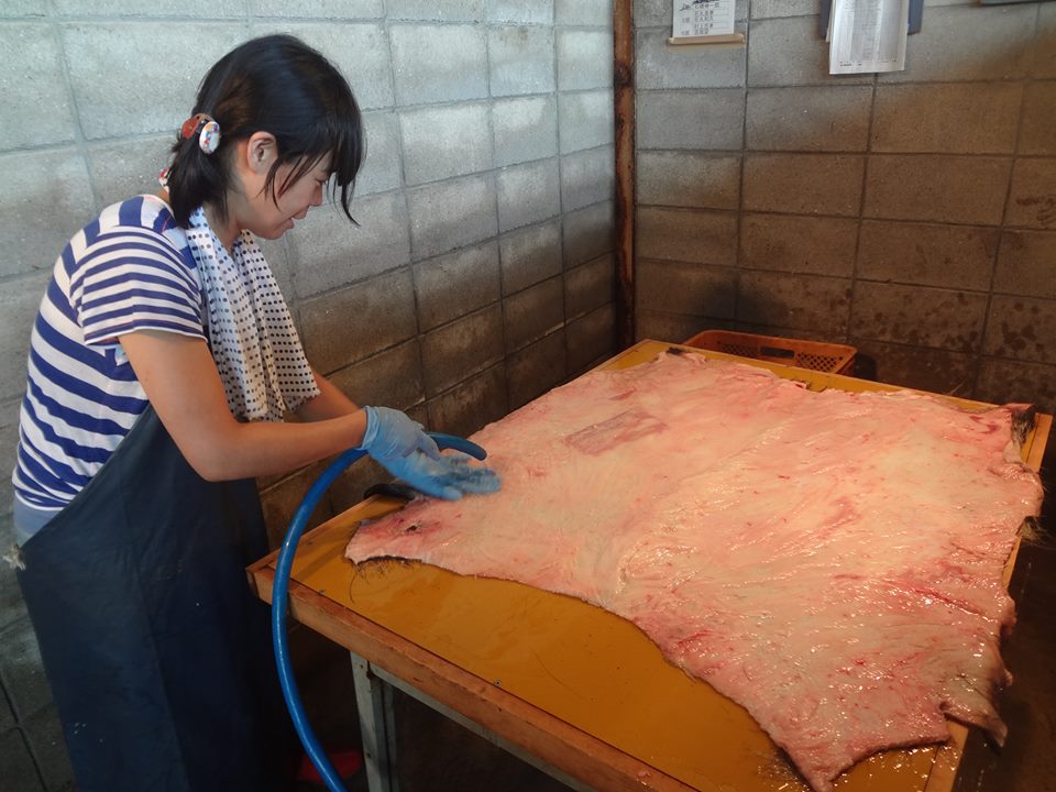 d0157313_123778.jpg