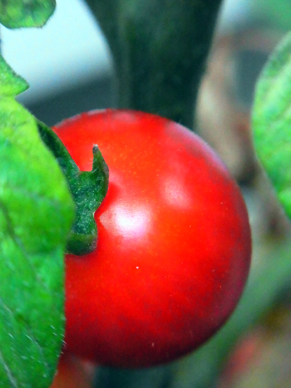 e0083517_12351541.jpg