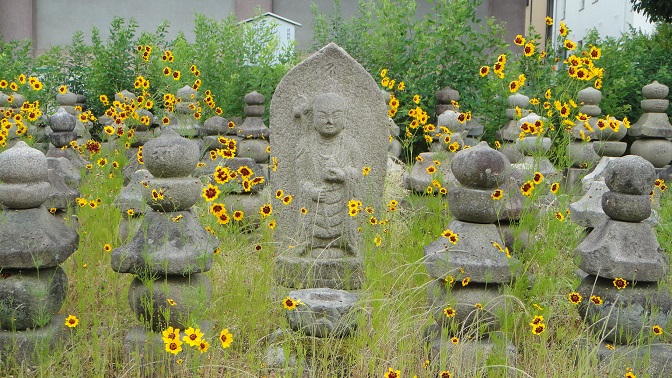 f0000521_2291139.jpg
