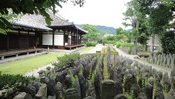 f0000521_2371417.jpg