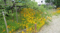 f0000521_23722.jpg