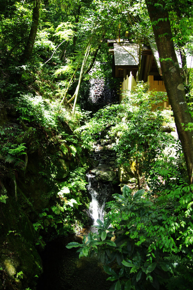 d0250028_64091.jpg