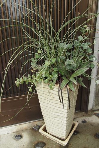 f0243731_10324433.jpg
