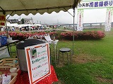 f0167635_6124265.jpg