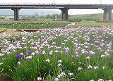 f0167635_6151880.jpg