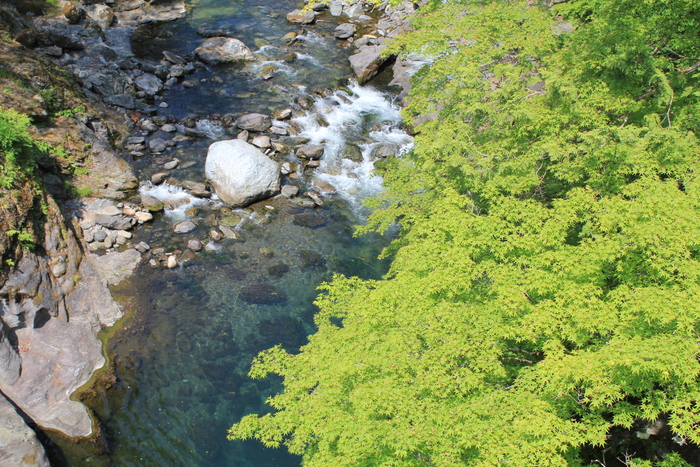 f0248635_1341514.jpg