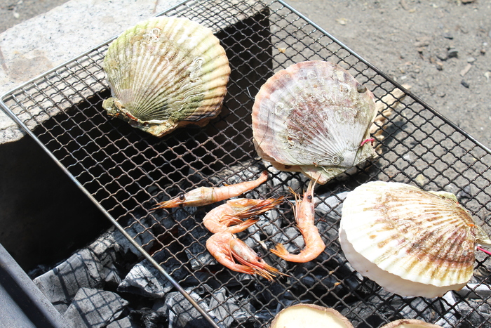 f0248635_134543.jpg