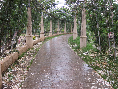 b0178339_1925767.jpg