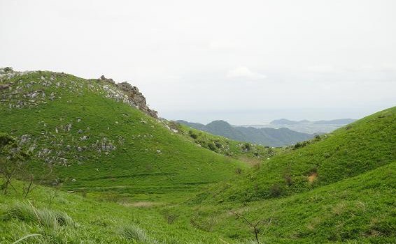 e0164643_11555246.jpg