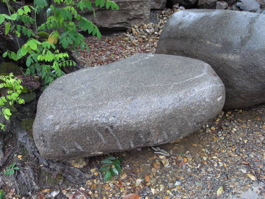 e0126548_171597.jpg