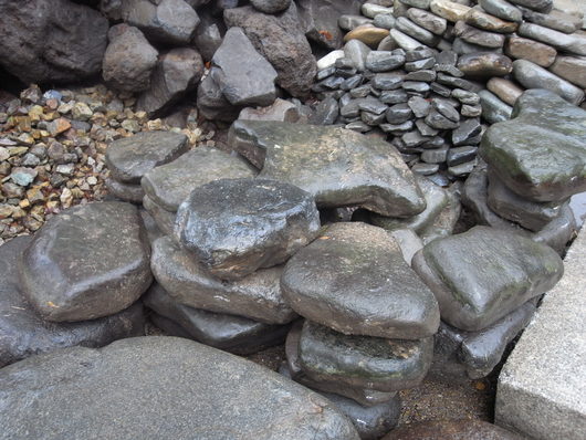 e0126548_175523.jpg