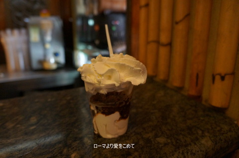 c0206352_3344510.jpg