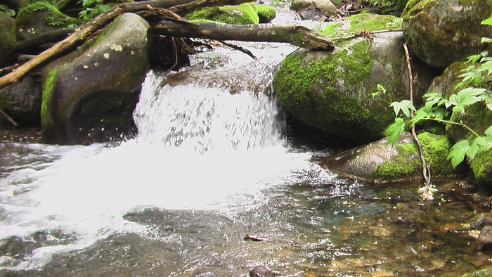 b0208961_8334913.jpg