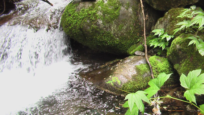 b0208961_8341231.jpg