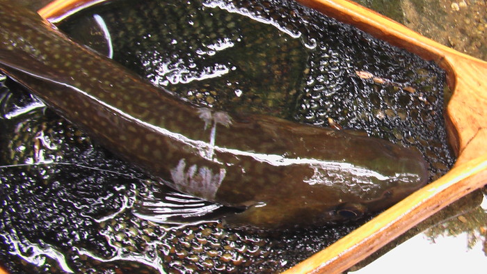 b0208961_8354825.jpg