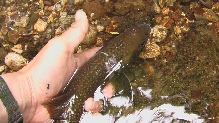 b0208961_8361035.jpg