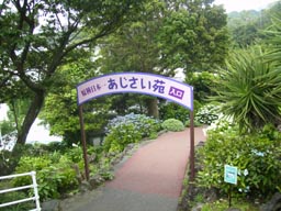 a0055866_15124198.jpg