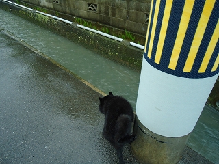 e0002466_18354143.jpg