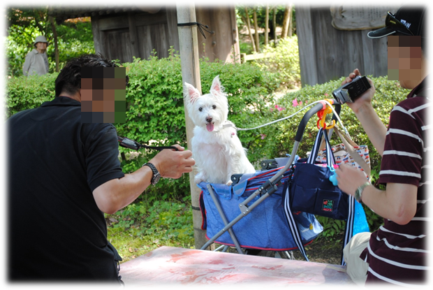 b0242873_0443439.png