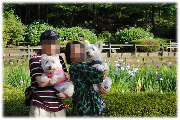 b0242873_0502987.png