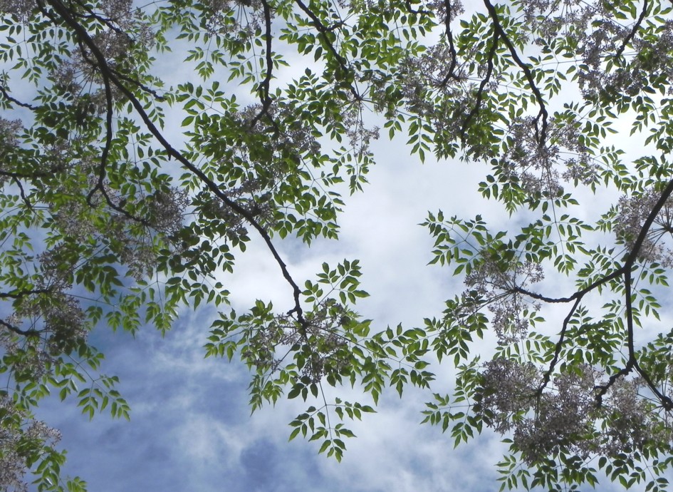 c0144185_19132436.jpg