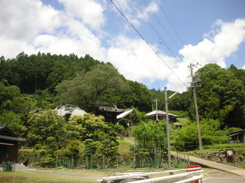 d0115997_22181353.jpg