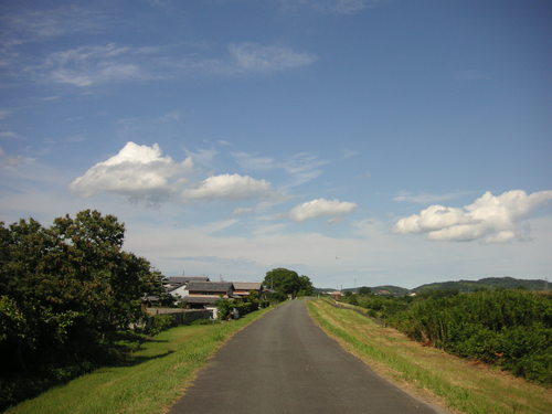 d0115997_22211073.jpg