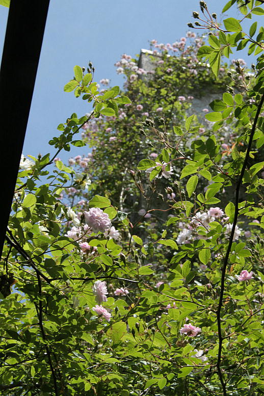 d0166303_0544162.jpg