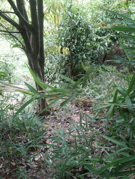 e0183004_1991211.jpg