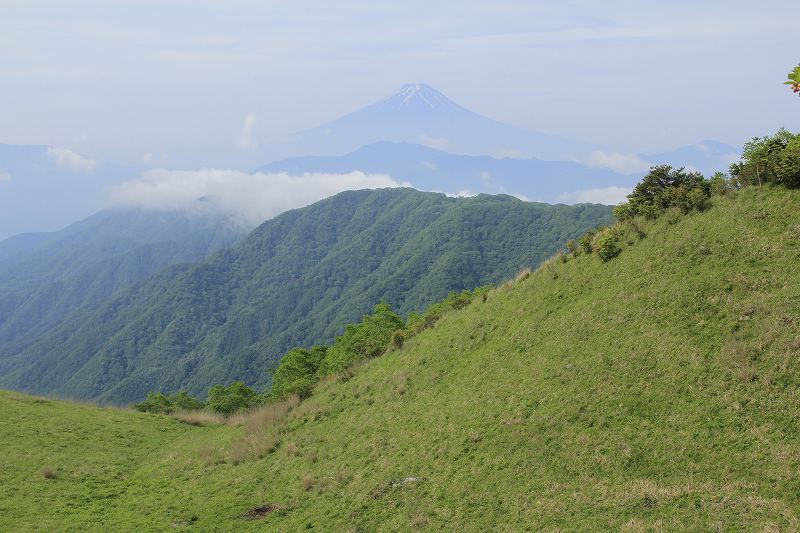 a0188405_8374429.jpg