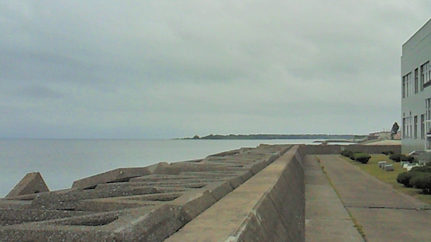 d0149105_8345835.jpg