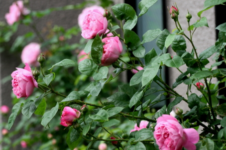 f0041606_201064.jpg