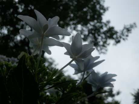 c0062511_222359100.jpg