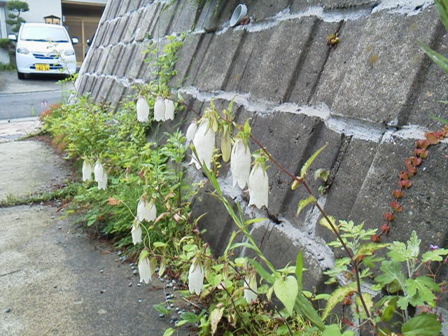 f0157414_18252991.jpg