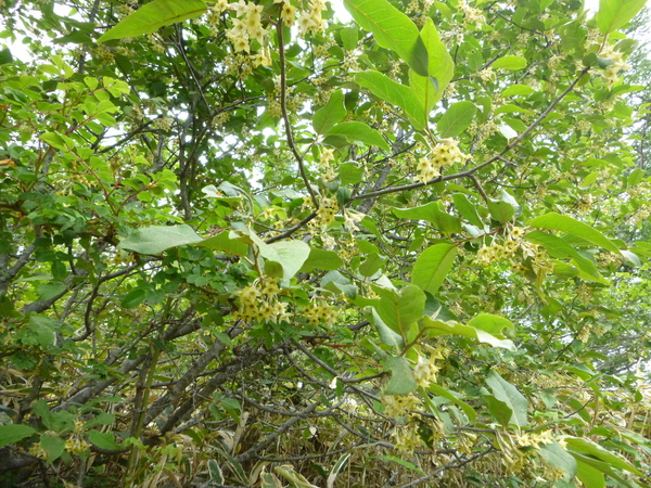 d0170615_903581.jpg