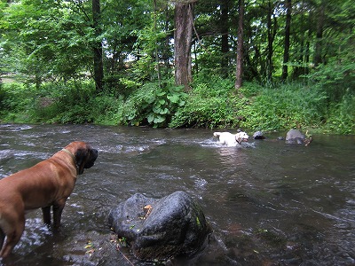 e0192217_109401.jpg