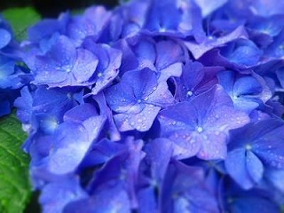 c0051529_17223953.jpg