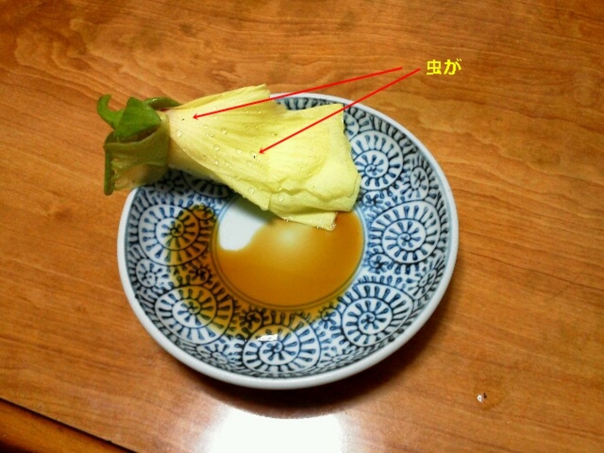 e0033229_21262449.jpg