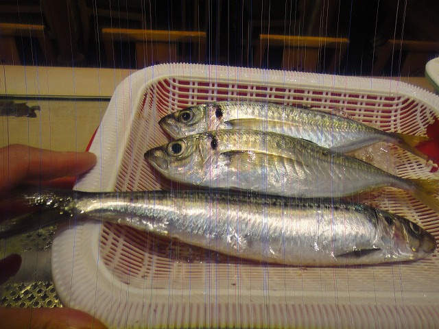 f0208737_853583.jpg