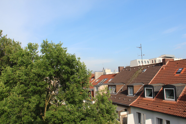 c0153740_2353863.jpg