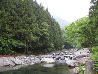 f0065341_1748335.jpg