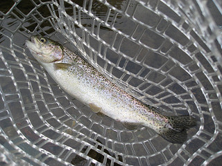 f0065341_1749464.jpg
